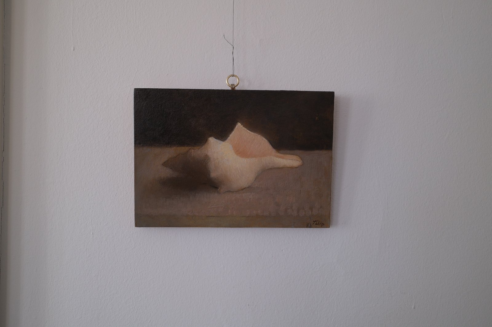 Shell — Filip von Buchwald